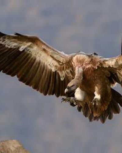 《城市微光》内涵漫画