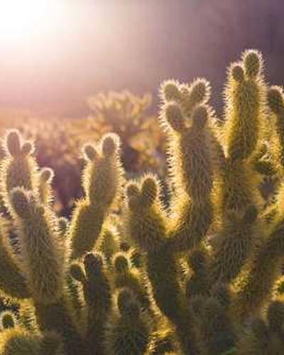 《都市守护者》动作漫画